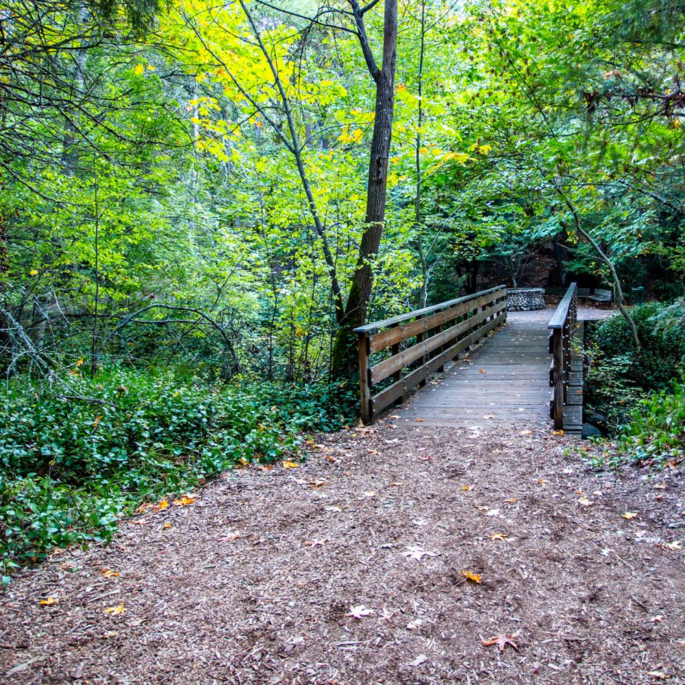 Lithia Park - Parks Near Me - Ashland, Oregon Lithia Park - Parks Near Me - Ashland, Oregon