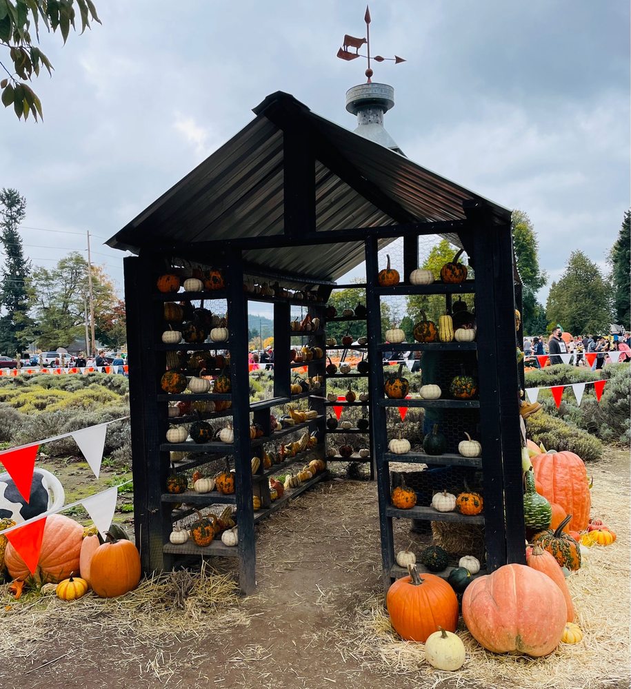 SPOONER FARMS 86 Photos & 73 Reviews 9710 State Rte 162 E, Puyallup