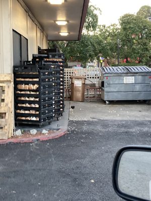 Jack in the Box by null