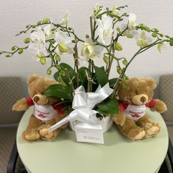 bloomers - Florists Near Me - San Francisco, California bloomers - Florists Near Me - San Francisco, California