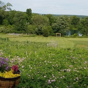 The Vineyard At Hershey - Beautiful view - Wineries Near Me - Middletown, Pennsylvania The Vineyard At Hershey - Beautiful view - Wineries Near Me - Middletown, Pennsylvania