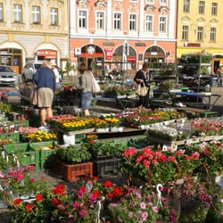 Trhy na Karlově náměstí - V plné parádě