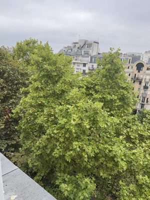 Hotel Gaston by null