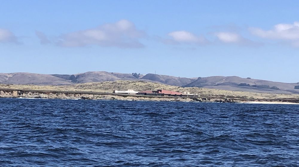 BODEGA BAY OCEAN ASH SCATTERING Updated September 2024 22 Photos