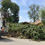 Photo of Universal Tree Service