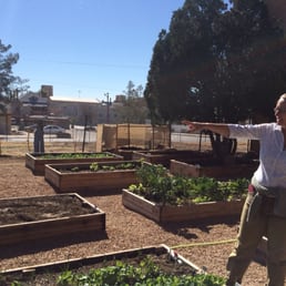 Miriam, one of h volunteers who is a gardening-expert Miriam, one of h volunteers who is a gardening-expert