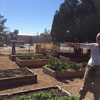 Mustard Seed Cafe - Miriam, one of h volunteers who is a gardening-expert - Cafes Near Me - El Paso, Texas Mustard Seed Cafe - Miriam, one of h volunteers who is a gardening-expert - Cafes Near Me - El Paso, Texas