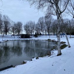 Duck pond with families sledding in the background