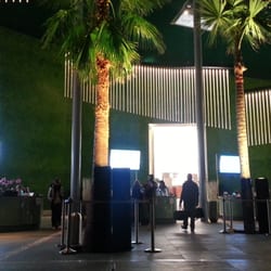 Palmenparadies Schwimmbad