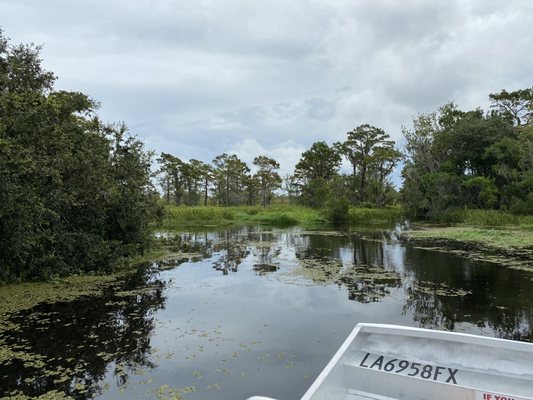 Gators and Ghosts: New Orleans Tours by null