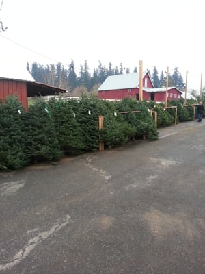 Oregon Heritage Farms by null