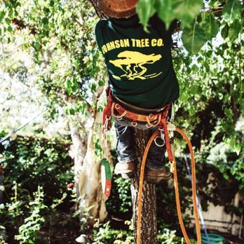Johnson Tree Company - Tree Services - Tree Services Near Me - Pacific Palisades, California Johnson Tree Company - Tree Services - Tree Services Near Me - Pacific Palisades, California