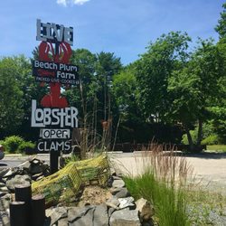 Beach Plum Lobster Farm