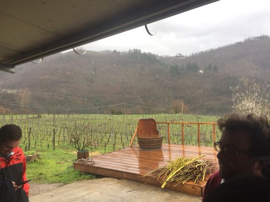 Podere Còncori by null