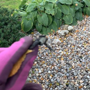 Godfrey Roofing - The debris they left all over the property - General Contractors Near Me - Ottawa, Ontario
