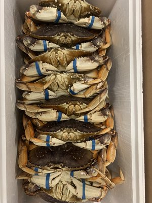 Da Seafood Store by null