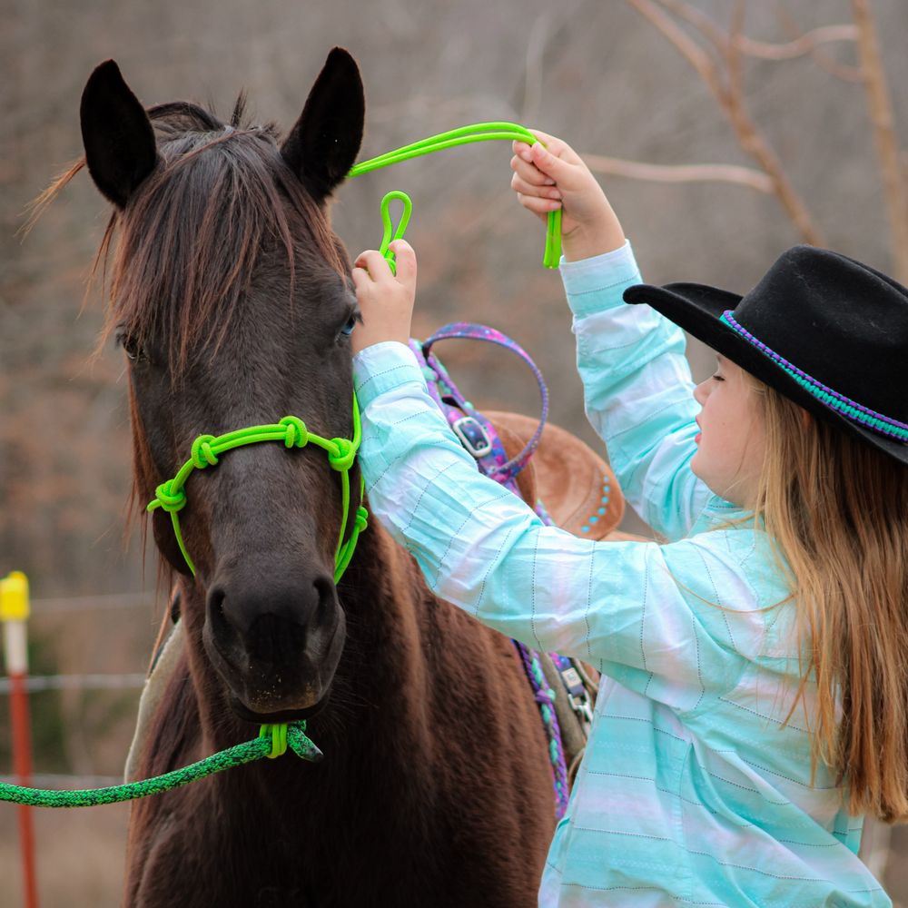 THE BEST 10 HORSEBACK RIDING in ROGERS, AR - Updated 2026 - Hours - Yelp