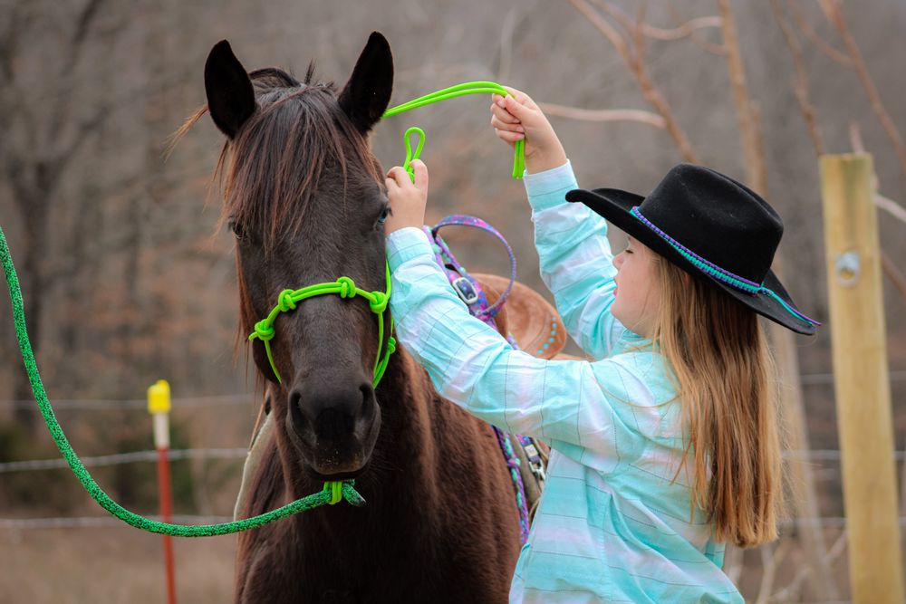 Thunder Mountain Ranch - equestrian in Fayetteville, AR