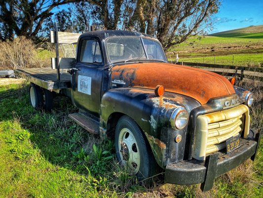 Toluma Farms & Tomales Farmstead Creamery by null