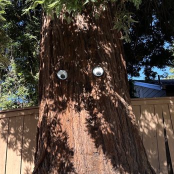Canyon Swim School - big redwood friend - Swimming Lessons/Schools Near Me - El Sobrante, California Canyon Swim School - big redwood friend - Swimming Lessons/Schools Near Me - El Sobrante, California