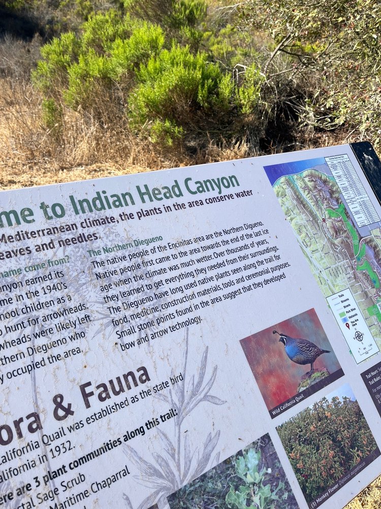 indian head canyon Logo