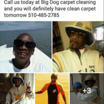 Big Dog Carpet Cleaning - Carpet Cleaning Near Me Big Dog Carpet Cleaning - Carpet Cleaning Near Me