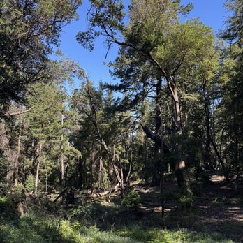 Wunderlich Park - Trail - Parks Near Me - Woodside, California