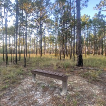 Carvers Creek State Park - Hiking Near Me - Spring Lake, North Carolina Carvers Creek State Park - Hiking Near Me - Spring Lake, North Carolina