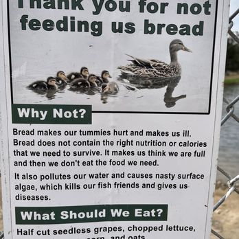 Rohr Park - 05-24-25 no bread - Parks Near Me - Bonita, California Rohr Park - 05-24-25 no bread - Parks Near Me - Bonita, California