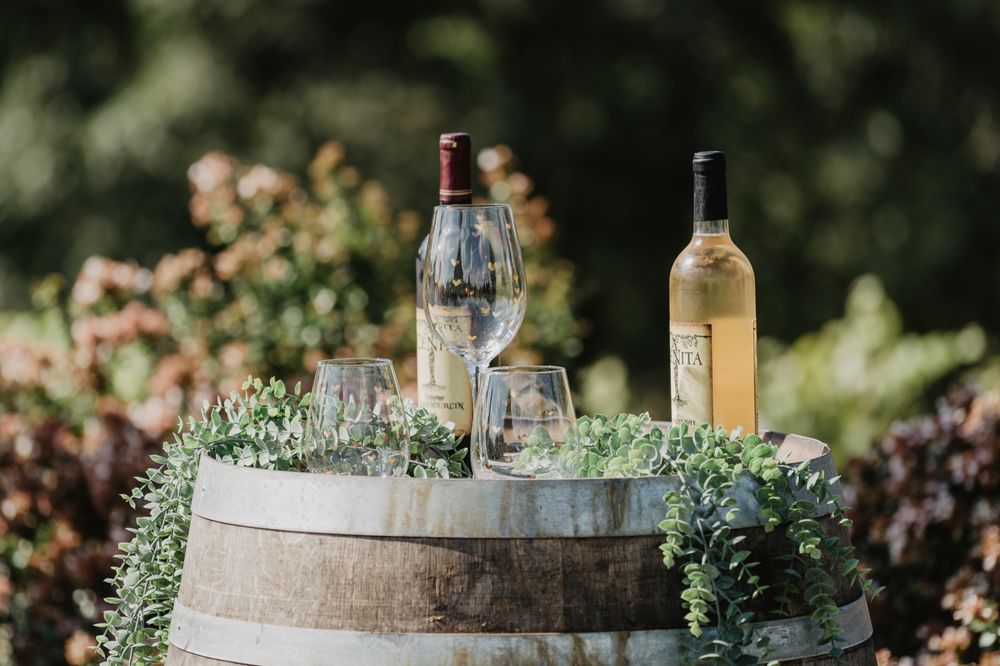 Social spots from CeNita Vineyards and Winery