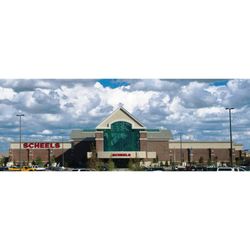 Scheels