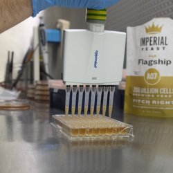 Imperial Yeast