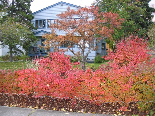 City Garden Bed & Breakfast by null