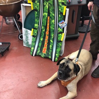 Annie's Ace Hardware - Brookland - Pups are welcome! - Hardware Stores Near Me - Washington, DC, District of Columbia
