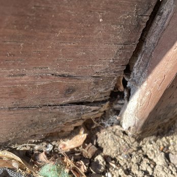 All American Fence - Pressurized post and base.
There are no sprinklers or vegetation near the damaged wood. - Fences & Gates Near Me All American Fence - Pressurized post and base.
There are no sprinklers or vegetation near the damaged wood. - Fences & Gates Near Me