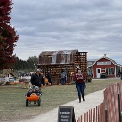 Jonamac Orchard