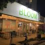 Photo of Bloom