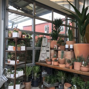 Flora Grubb Gardens - Indoor space - Nurseries & Gardening Near Me - San Francisco, California