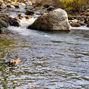 Sierra Pines Resort - Yuba River swimming hole. - American Near Me - Sierra City, California Sierra Pines Resort - Yuba River swimming hole. - American Near Me - Sierra City, California