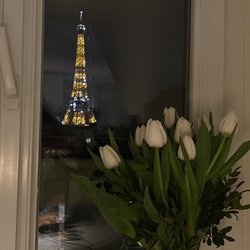 Les Floralies