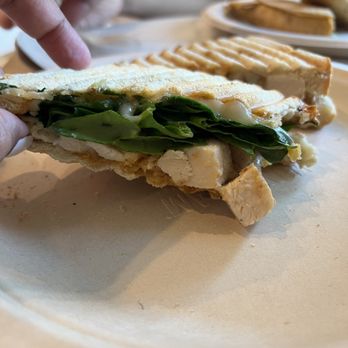 Shore Cafe - Delicious chicken panini - Coffee & Tea Near Me - Port Aransas, Texas Shore Cafe - Delicious chicken panini - Coffee & Tea Near Me - Port Aransas, Texas