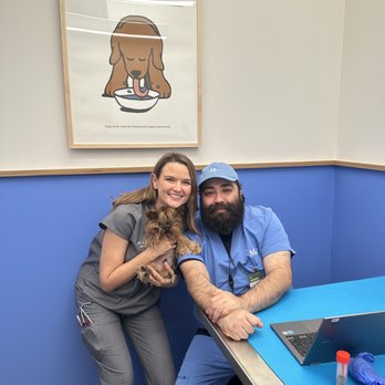 Modern Animal Manhattan Beach - Wonderful team at Modern Animal including Dr. Julie Storm and Vet Tech Alejando taking great care of Smoky the Yorkie - Veterinarians Near Me - Manhattan Beach, California Modern Animal Manhattan Beach - Wonderful team at Modern Animal including Dr. Julie Storm and Vet Tech Alejando taking great care of Smoky the Yorkie - Veterinarians Near Me - Manhattan Beach, California