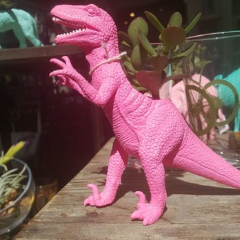 Retrofit Home - A dinosaur with an air plant on his back at Retrofit! - Furniture Stores Near Me - Seattle, Washington Retrofit Home - A dinosaur with an air plant on his back at Retrofit! - Furniture Stores Near Me - Seattle, Washington