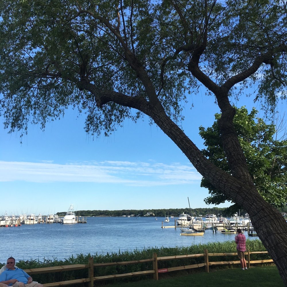 Cowfish - New American Near Me - Hampton Bays, New York Cowfish - New American Near Me - Hampton Bays, New York
