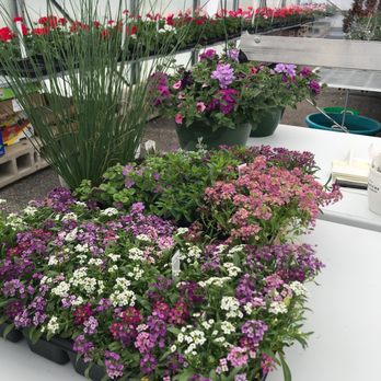 Anna's Greenhouse - Easter Bonnets - Nurseries & Gardening Near Me - Waukesha, Wisconsin