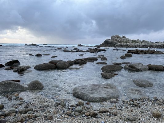 Asilomar State Beach by null
