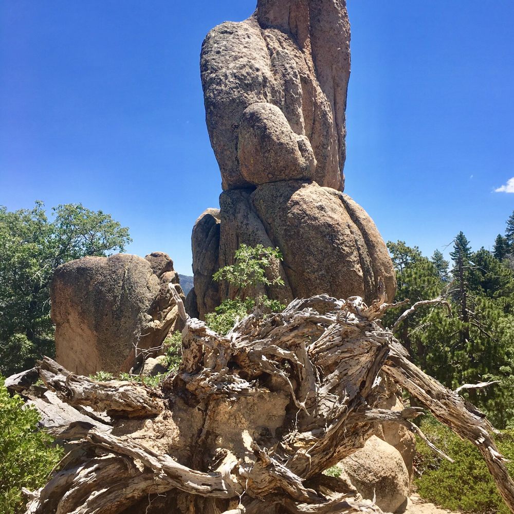 Gray's Peak Trail - Hiking Near Me - Fawnskin, California