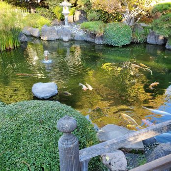 Japanese Gardens - Parks Near Me - San Mateo, California Japanese Gardens - Parks Near Me - San Mateo, California