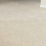 Photo of Magic Dry-A Cleaner Carpet