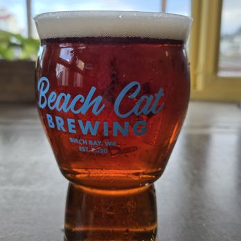 Beach Cat Brewing - South Paw - Copper ale. - Brewpubs Near Me - Bellingham, Washington